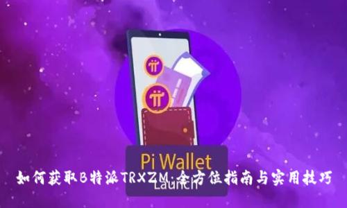 如何获取B特派TRXZM：全方位指南与实用技巧