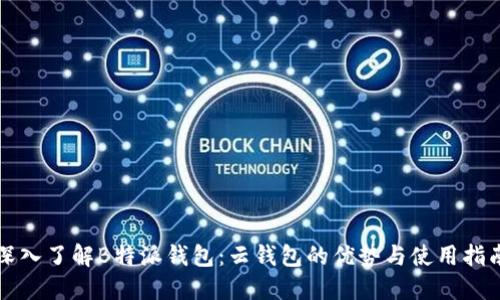 深入了解B特派钱包:云钱包的优势与使用指南